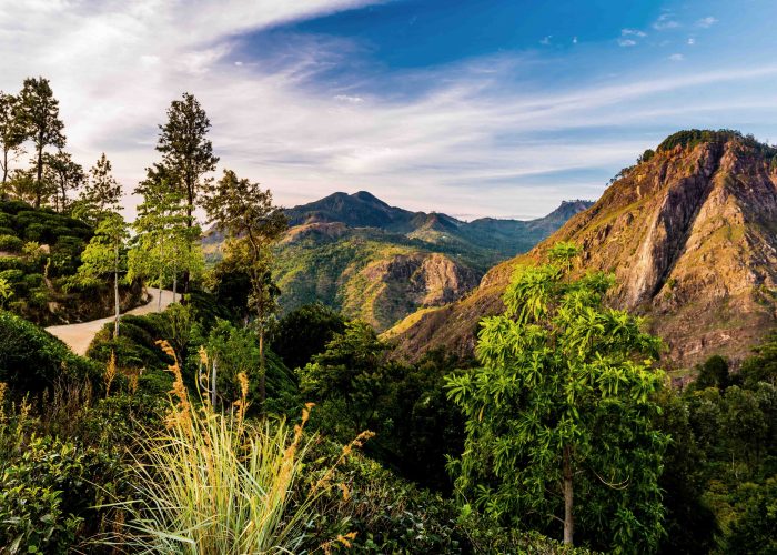 LIttle_Adams_Peak_Ella_Sri-Lanka