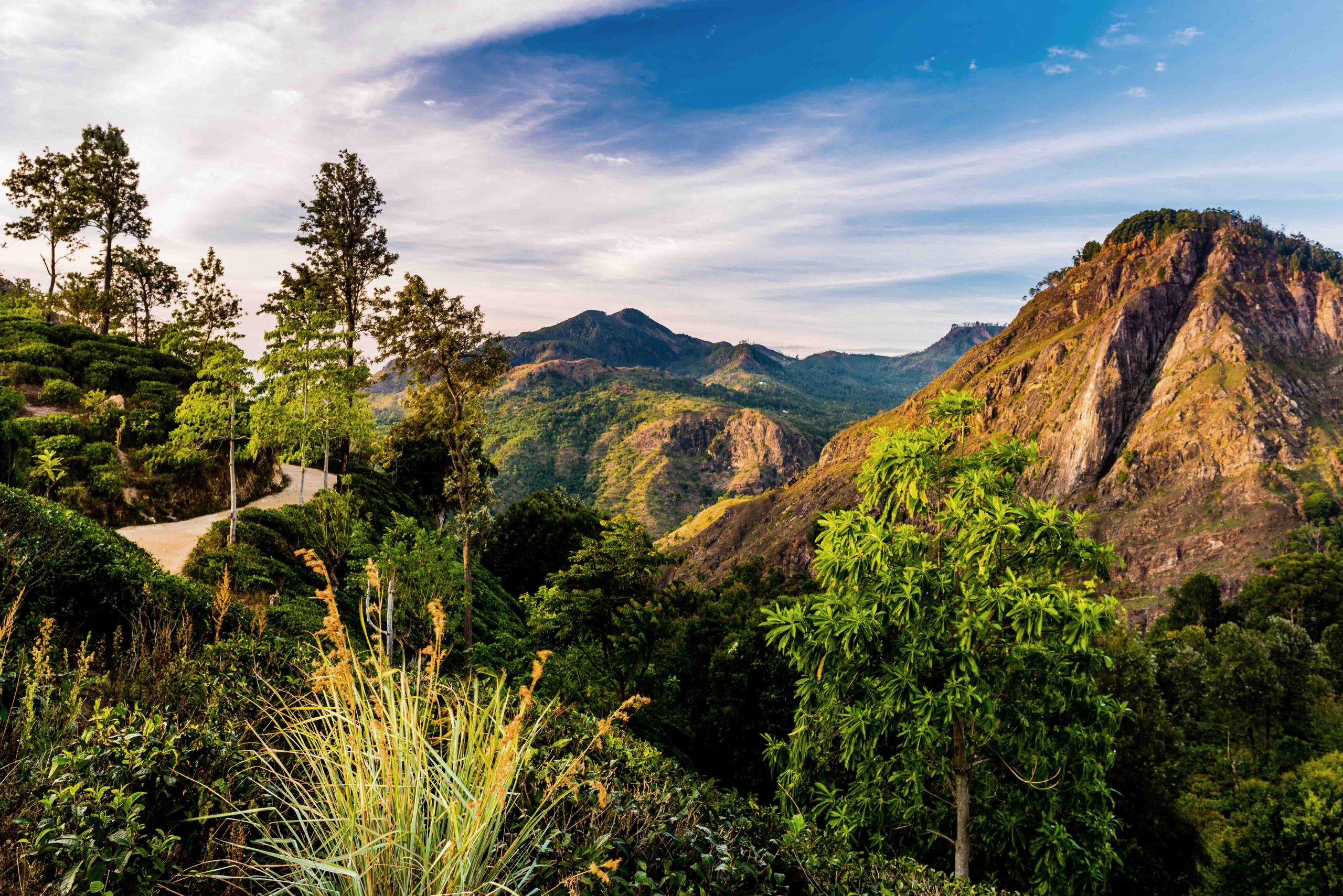 LIttle_Adams_Peak_Ella_Sri-Lanka
