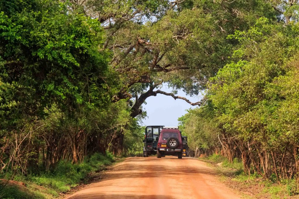 jeep Yala National Park